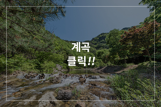 계곡